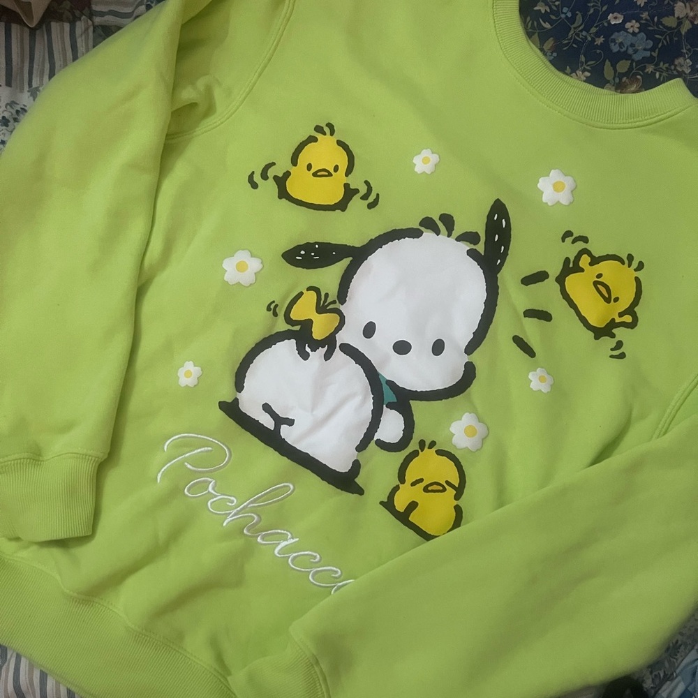 Sanrio Pochacco Graphic Sharp Green Fleece Sweatshirt